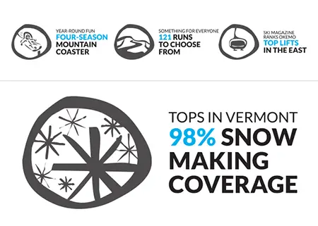 Custom Icon Set for Okemo