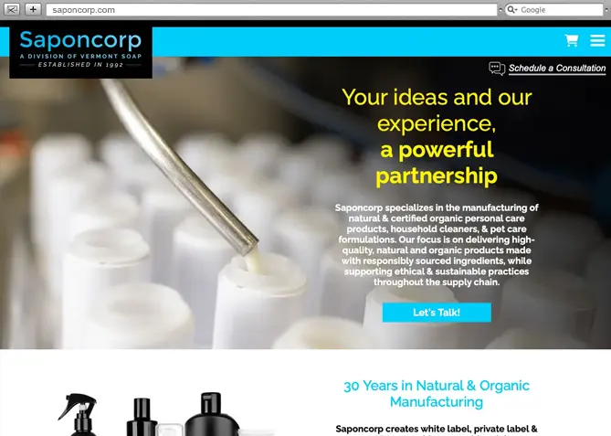 Responsive Website Design, Responsive Website Development for SaponCorp